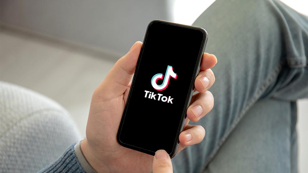 tiktok schnell 1000 follower